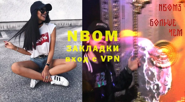 прущие грибы Бородино