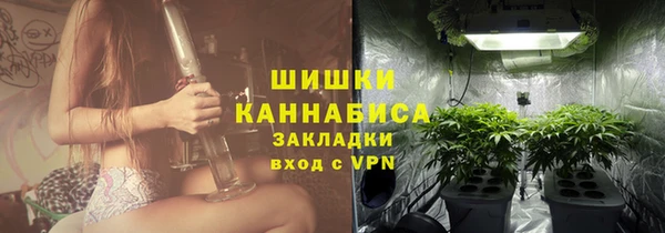 прущие грибы Бородино