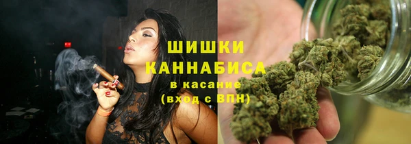прущие грибы Бородино