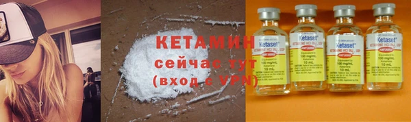 прущие грибы Бородино