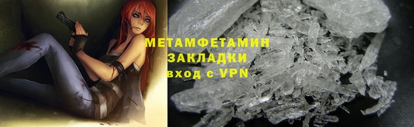 прущие грибы Бородино