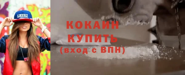 стаф Богданович