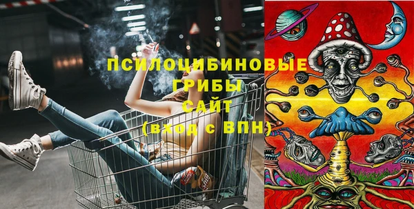 прущие крисы Бронницы
