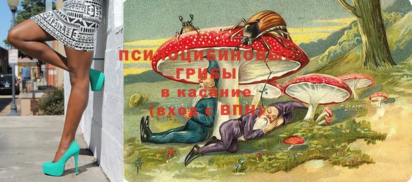 прущие грибы Бородино
