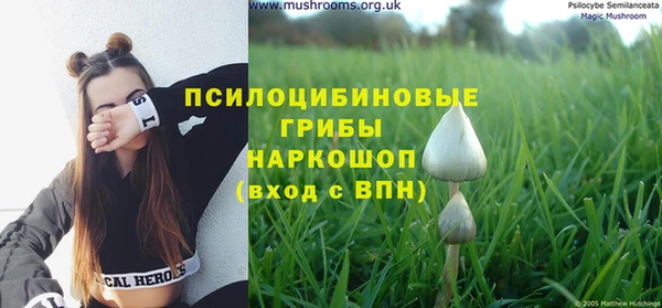 Альфа ПВП Бугульма