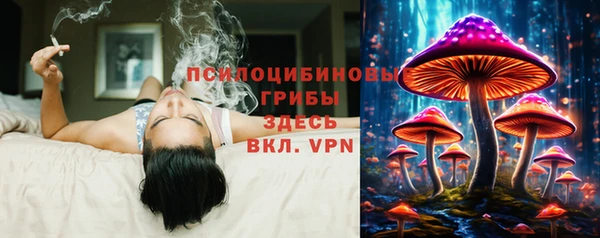 прущие грибы Бородино