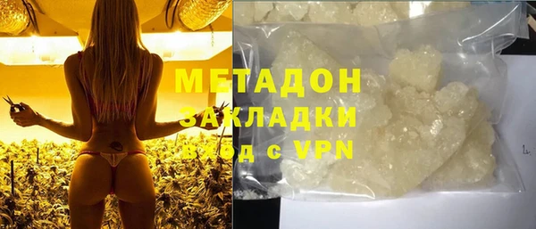 прущие грибы Бородино