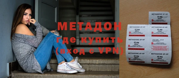 прущие грибы Бородино