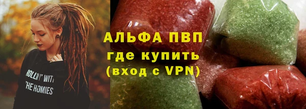 прущие грибы Бородино